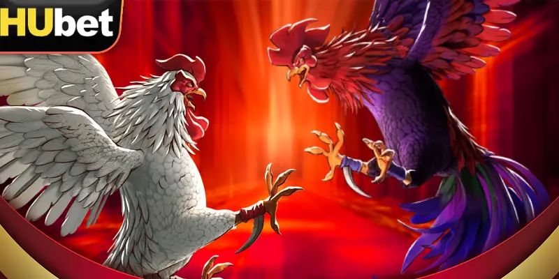 anh-dai-dien-da-ga-cua-dao-hubet